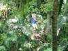 DSCF0108