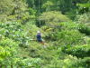 DSCF0152