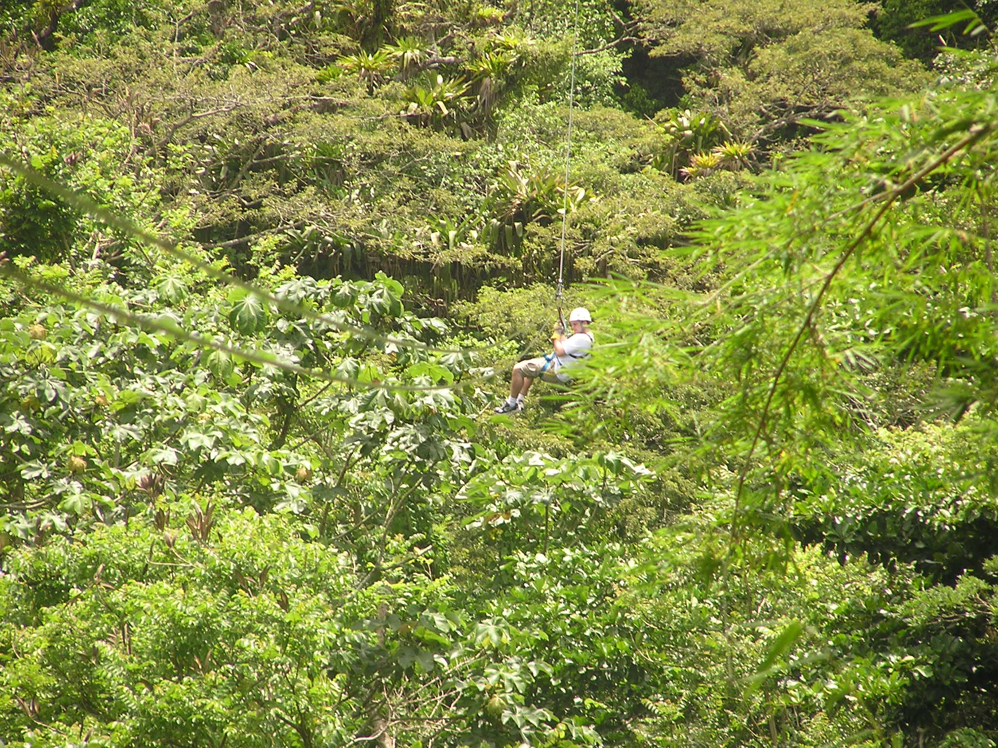 P1010052